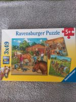 Ravensburger Puzzle Güstrow - Landkreis - Güstrow Vorschau