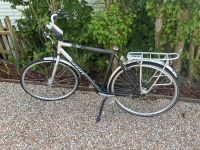 Herren Rad Giant Metro 4 Treckingrad Alu Fahrrad 28“ Nordrhein-Westfalen - Moers Vorschau