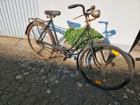 Gold Sieg Oldtimer Fahrrad 40er 50er Jahre Nordrhein-Westfalen - Lindlar Vorschau
