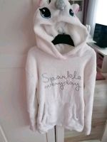 Hoodie H&M Gr. 158/164 Baden-Württemberg - Lauda-Königshofen Vorschau