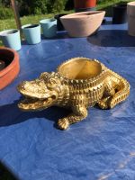Blumentopf Krokodil Gold Bayern - Ansbach Vorschau