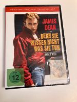 Diverse DVDs als Paket Niedersachsen - Worpswede Vorschau