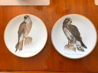 zwei dekorative Teller zum Hängen Raubvögel Hamburg-Nord - Hamburg Uhlenhorst Vorschau