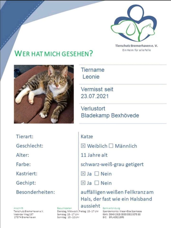 Katze Leonie verschwunden in Loxstedt