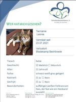 Katze Leonie verschwunden Niedersachsen - Loxstedt Vorschau