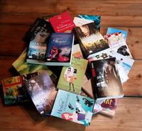 Bücher/Bestseller/Romantik Fantasy/Liebe/Komödie/Lesenswert Wurster Nordseeküste - Padingbüttel Vorschau