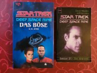 2 Bücher von Star Trek Deep Space Nine 31 + Das Böse Dresden - Trachau Vorschau