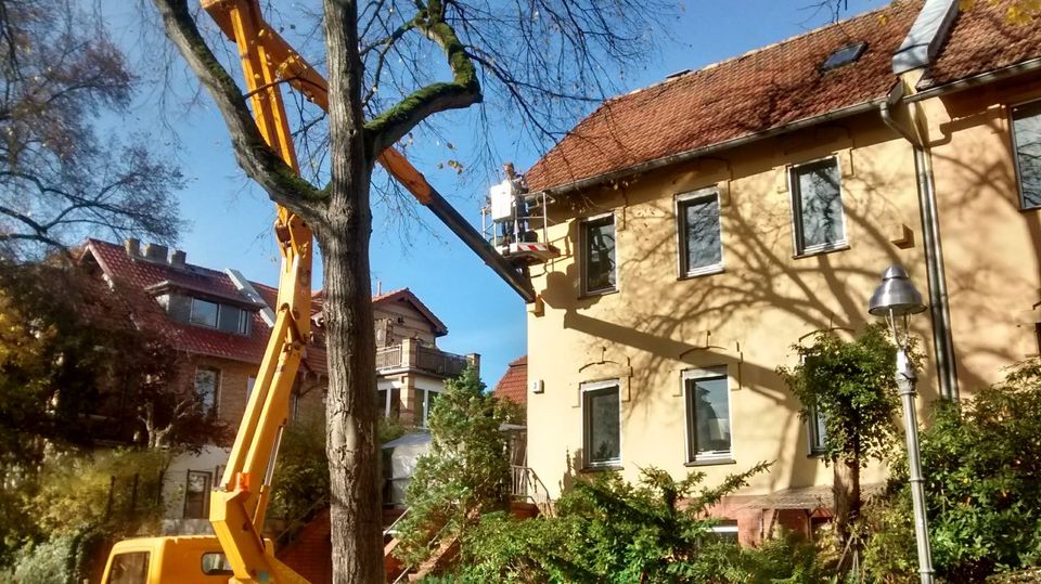 Solarmodule installieren Photovoltaik auf das Dach heben in Berlin