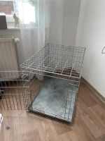 Hunde Kennel Brandenburg - Wittenberge Vorschau