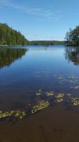 Da waren wir in Urlaub wunder schön Schleswig-Holstein - Schierensee Vorschau