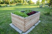 Hochbeet aus langlebigem Lärchenholz versch. Höhen und Wunschmaße Baden-Württemberg - Kusterdingen Vorschau