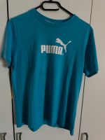 Kinder Shirt von Puma Sachsen - Diera-Zehren Vorschau