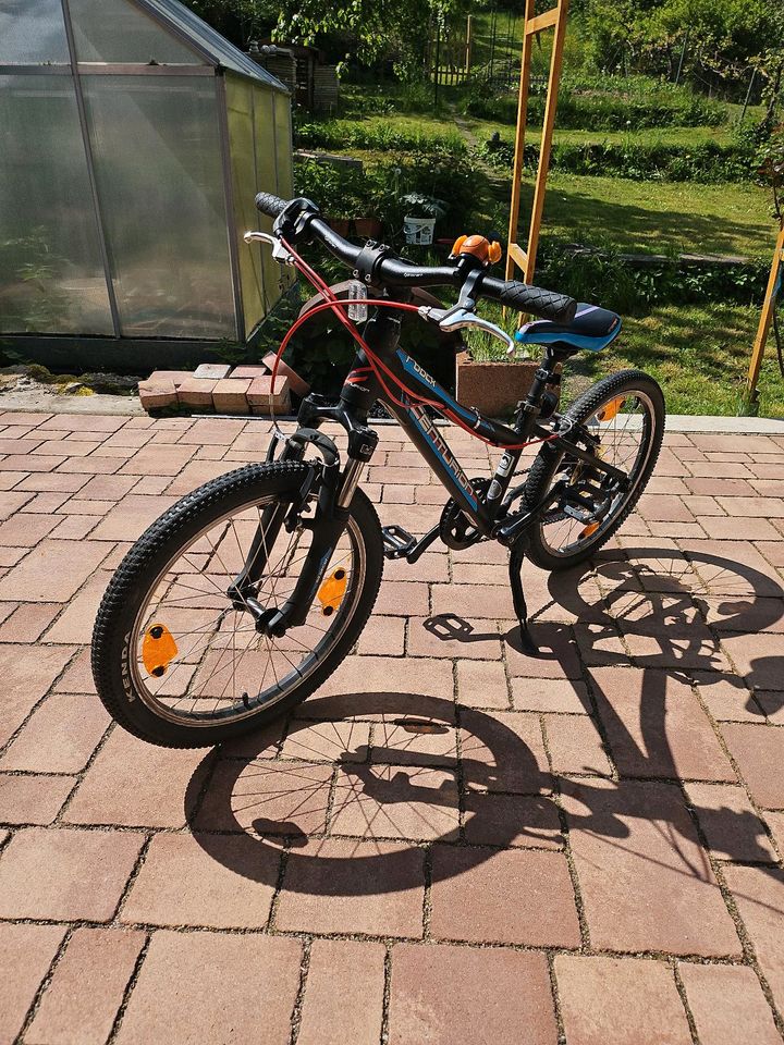 Kinderfahrrad Centurion R-Bock 20" NP 400 € in Horb am Neckar