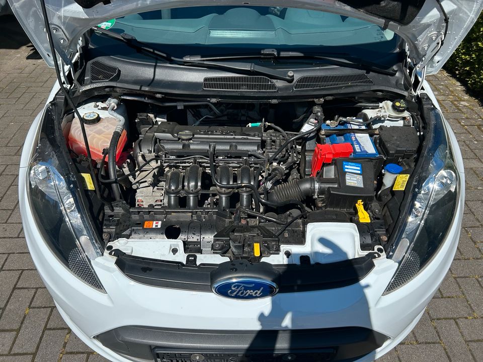 Ford Fiesta Mk7 in Edewecht