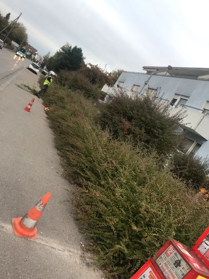 Gartenbau GartenPflege Pflastersteine Baumfällung in Landshut