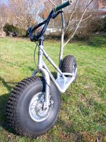 Monsterroller - Dogscooter Baden-Württemberg - Calw Vorschau