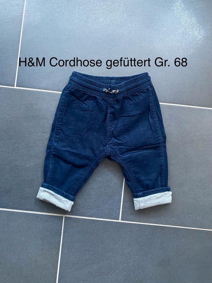 H&M Cordhose Gr. 68 dunkelblau gefüttert in Bohmte
