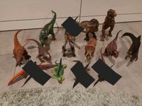 Schleich Figuren Dinos ❤️Top❤️ Rheinland-Pfalz - Kirchheimbolanden Vorschau