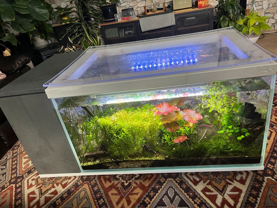 Tischaquarium OHNE Inhalt in Weyhe