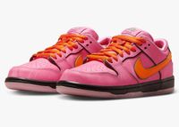 Nike SB Dunk Low Powerpuff Girls Blossom EU 42 Bayern - Lindau Vorschau