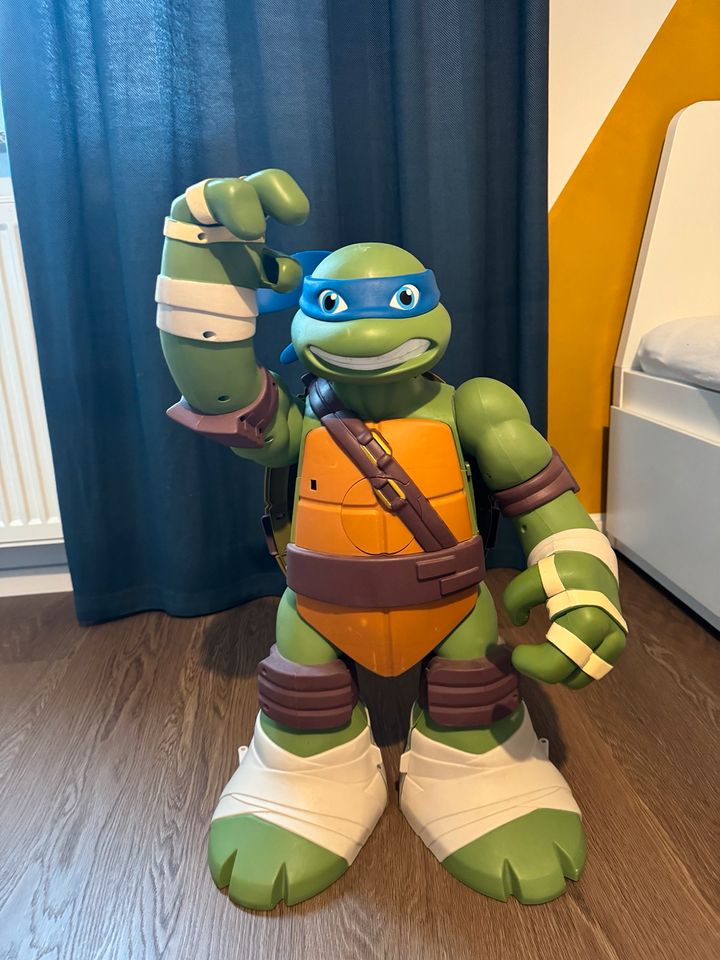 Teenage Mutant Ninja Turtles 24