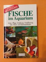 Fische im Aquarium - Mauro Mariani Bayern - Kirchenlamitz Vorschau