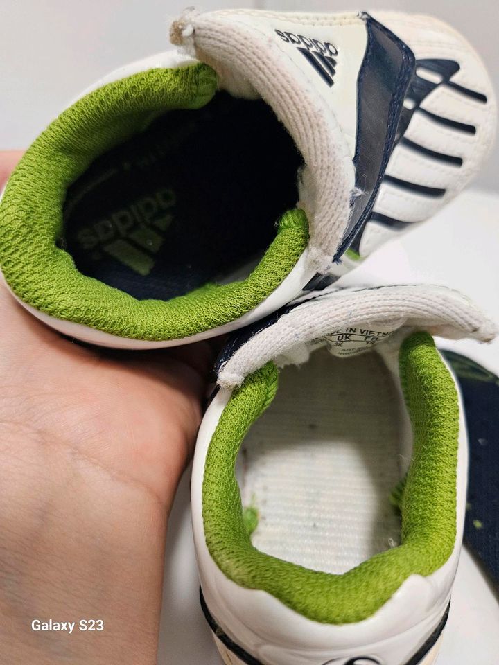 Adidas Predator Babyschuhe Gr.19 in Senden