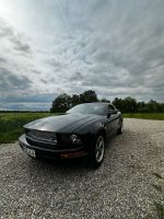 Ford Mustang GT V8 | Inspektion NEU Kr. München - Kirchheim bei München Vorschau