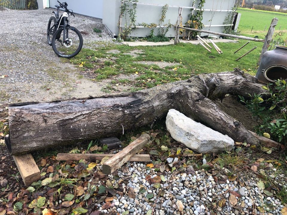 Lindenstamm Schnitzholz Linde Skulptur in Wilhelmsdorf