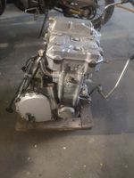 Honda CBR 1000 F SC21 Motor Schleswig-Holstein - Hemdingen Vorschau