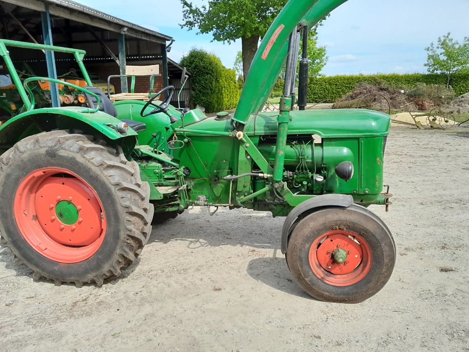 Deutz D50 S zu verkaufen in Emlichheim