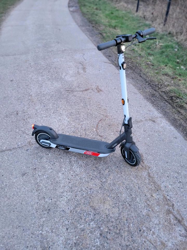 Ninebot segway G30D audi e-scooter e-roller in Wismar