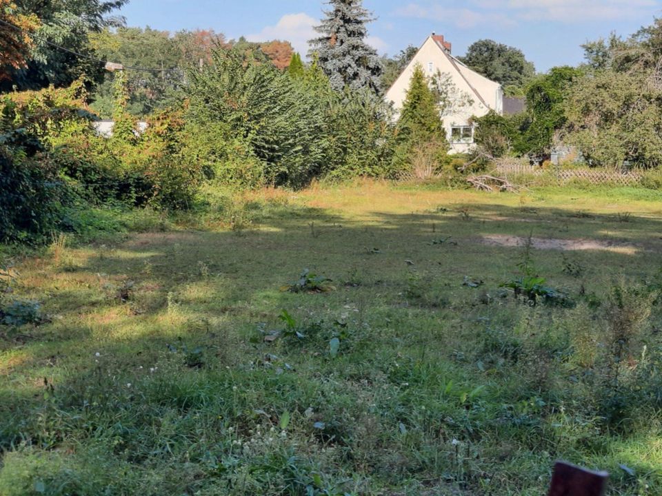 Naturnahes Grundstück mit Holzmodul-Neubau nahe Berlin. Jetzt informieren! in Berlin