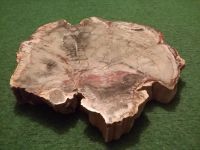 Versteinertes Holz 27x25x4,5cm mit Zertifikat Madagaskar Bayern - Aiterhofen Vorschau