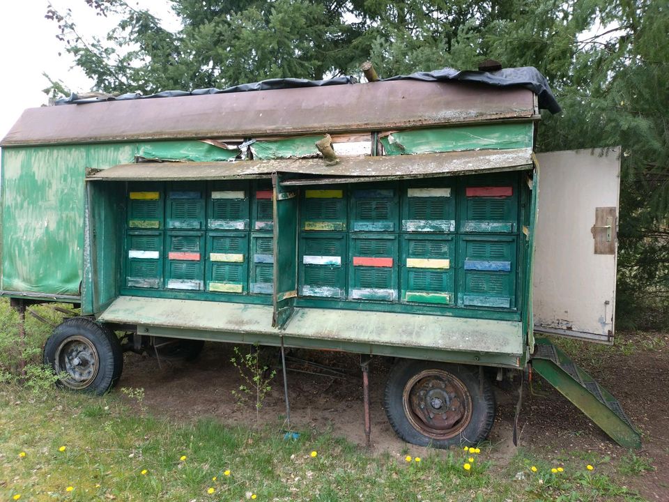 Bienenwage in Möckern