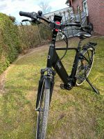QWIC Premium i-MN8+C Herren e-Bike 28“ Nordrhein-Westfalen - Ascheberg Vorschau