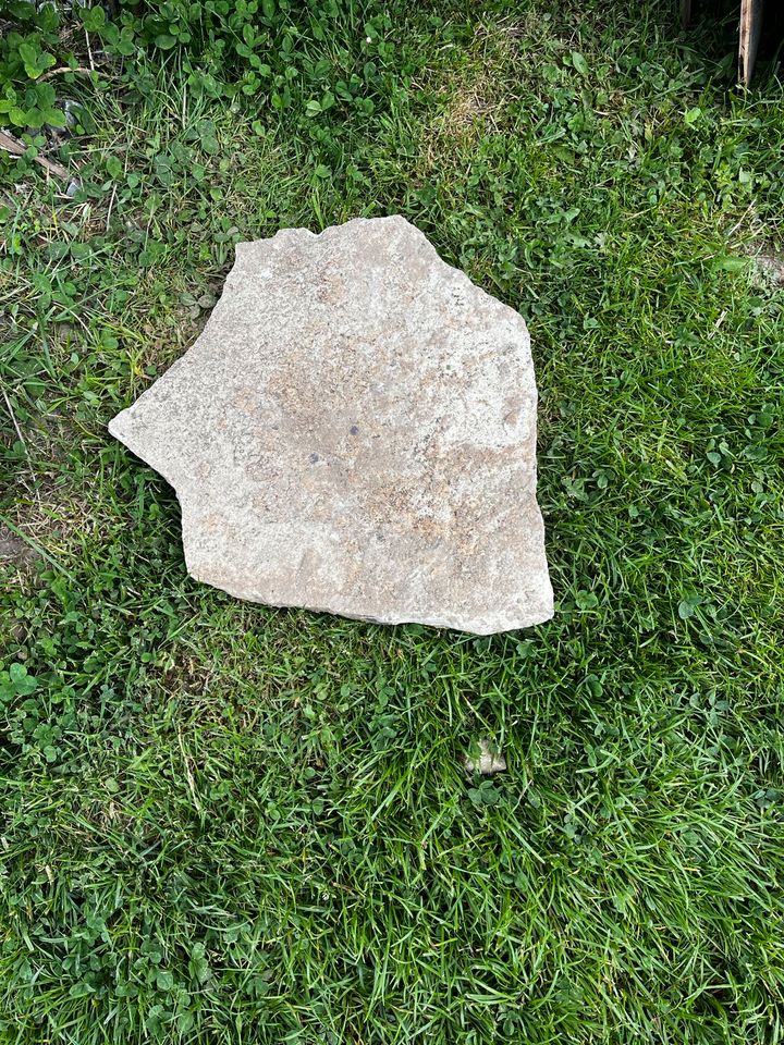 Platten Steine Trittplatten für die Gartengestaltung in Lemgo