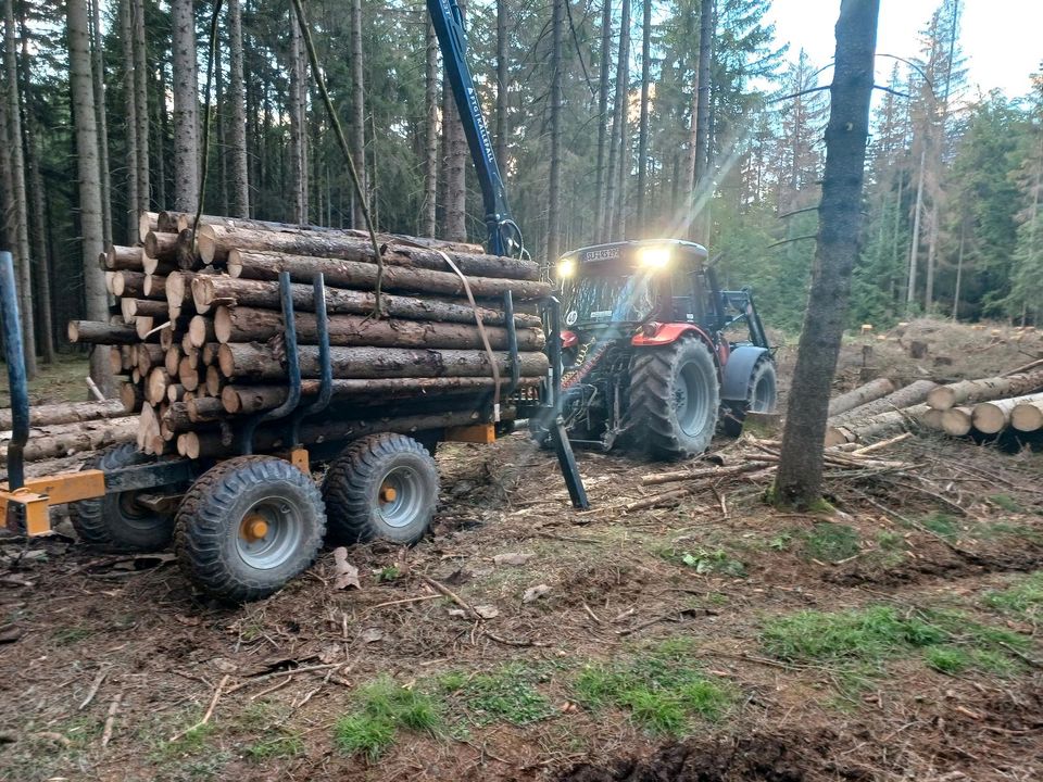 Transport mit Rückeanhänger in Saalfelder Höhe