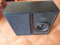 Visaton Lautsprecher Boxen 250 Watt 8 Ohm acoustic research Hessen - Dieburg Vorschau