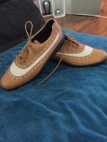Golfschuhe , Wanderschuhe Lederschuhe von BALLY Berlin - Reinickendorf Vorschau