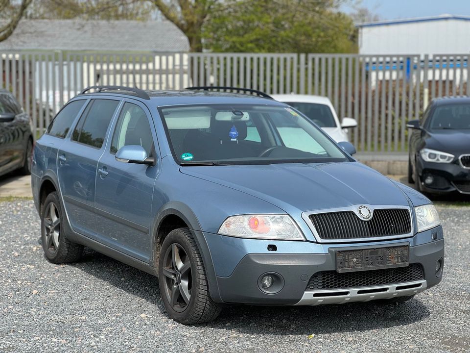 Skoda Octavia Combi Scout 4X4 Xenon in Flensburg