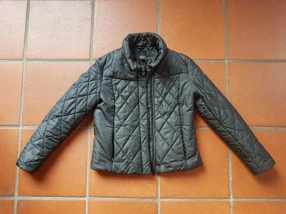 Größe | Kleinanzeigen ist in Steppjacke ESPRIT Bamberg Bayern jetzt Kleinanzeigen schwarz - 36 eBay