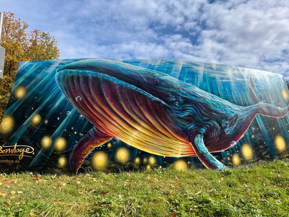 Graffiti & Street Art Künstler | Malerei Wandbild Sprayer Sprüher in Nümbrecht