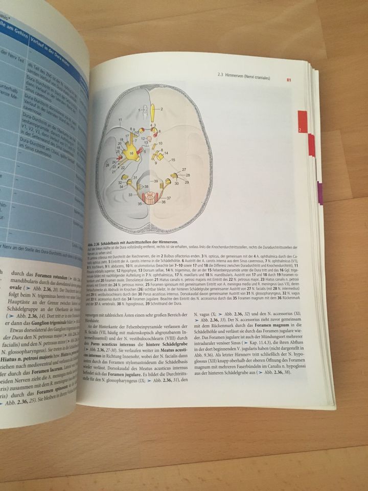 Neuroanatomie Trepel - 5. Auflage in Freiburg im Breisgau