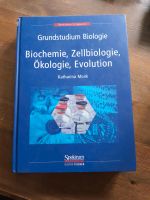 Katharina Munk, Grundstudium Biologie- Biochemie, Zellbiologie Niedersachsen - Lilienthal Vorschau