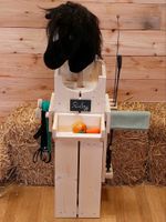 Hobby Horse Stall, Stall für Steckenpferde, "Kreativ" Niedersachsen - Ankum Vorschau