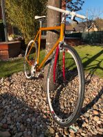 Singlespeed Retro (Unikat), seltener Rahmen Berlin - Lichterfelde Vorschau