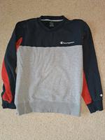 Sweatshirt Pulli Champions Hessen - Marburg Vorschau