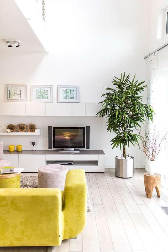 Moderne Architektur auf Höchstem Niveau - DEIN NEUES MASSA-HAUS in Freiburg im Breisgau