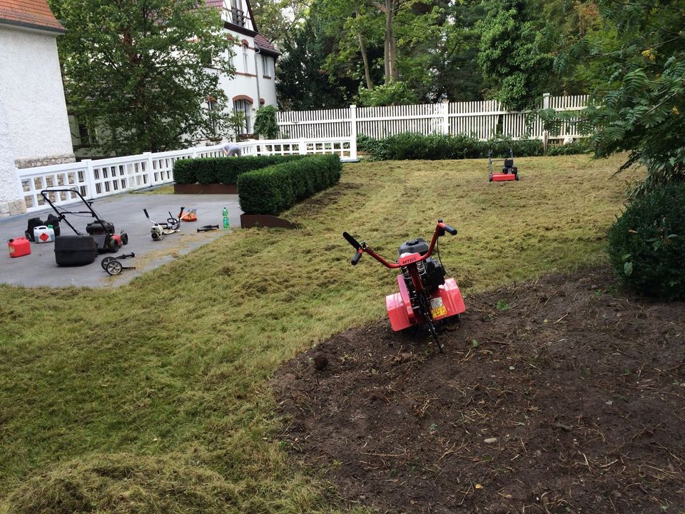 Vertikutierung, Gartenpflege, Baumfällung, Gartenarbeit in Falkensee